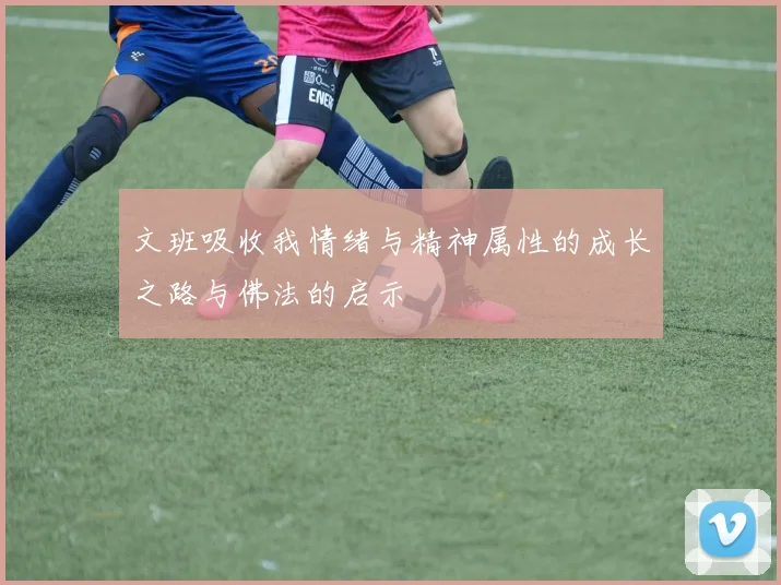文班吸收我情绪与精神属性的成长之路与佛法的启示